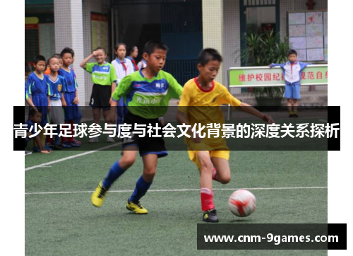 青少年足球参与度与社会文化背景的深度关系探析 青少年足球参与度与社会文化背景的深度关系探析